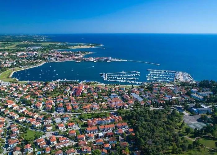 Apartment Alpa By Interhome